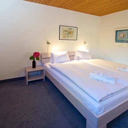 Apartment Schweizerhof 5 *